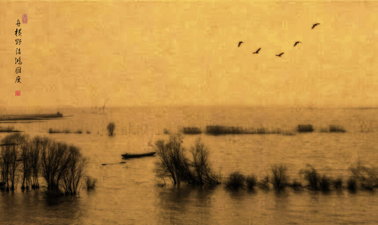 Lin Tonghua - A-flock-of-geese-flew-by